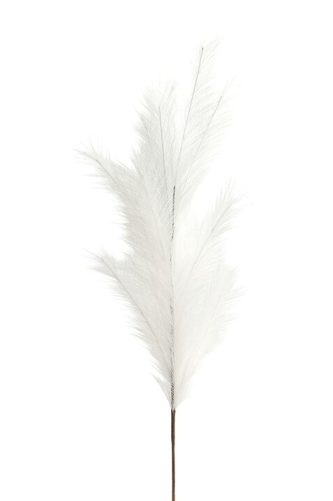 Pampas, deco branch, L135cm, white