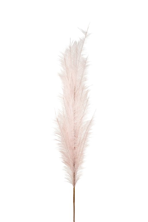 Pampas, Deko-Zweig, L135cm, rosé