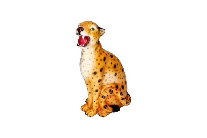 Wildcat, Leopard, S(H34cm), orange