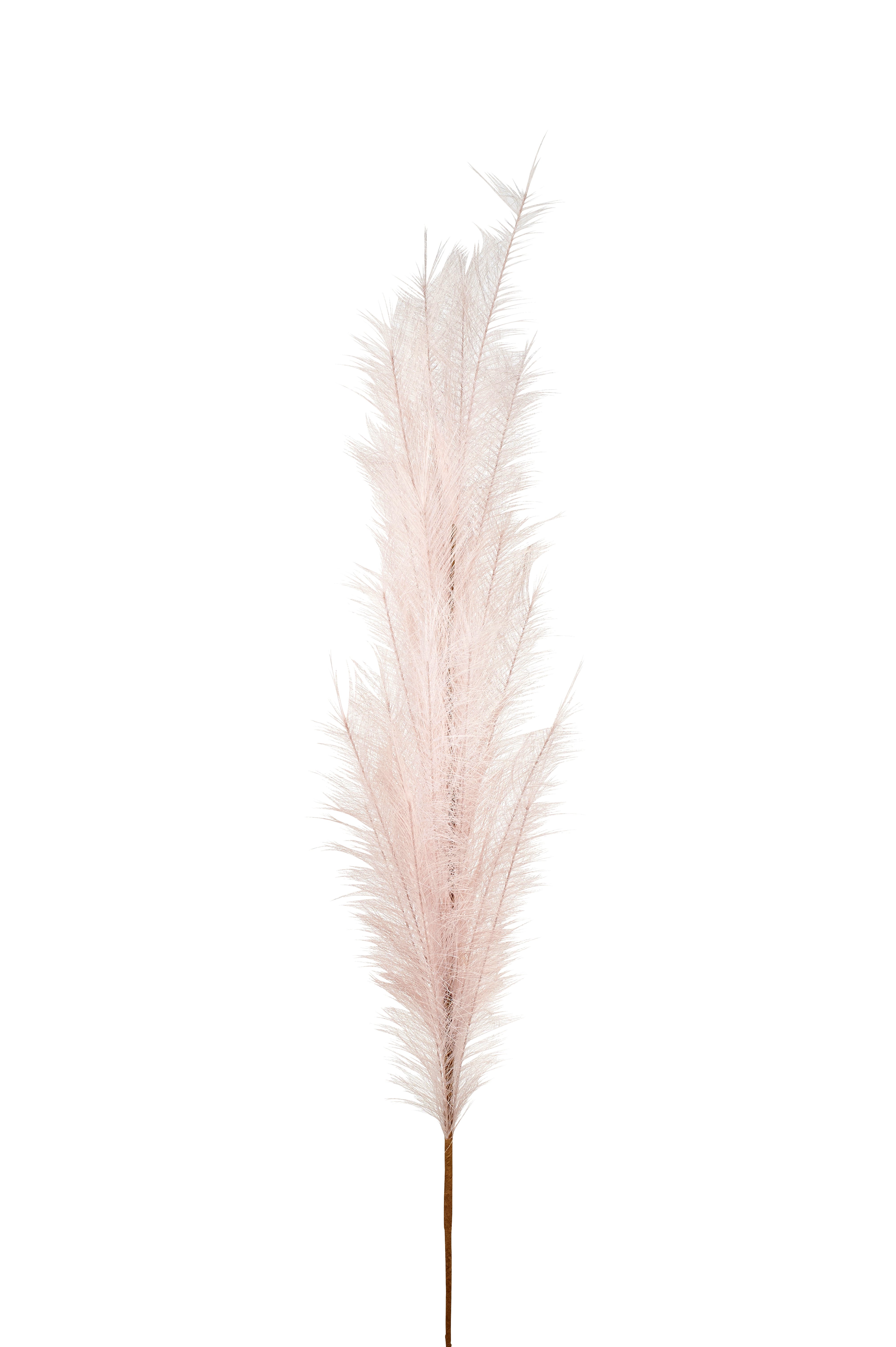 Pampas, Deko-Zweig, L135cm, rosé