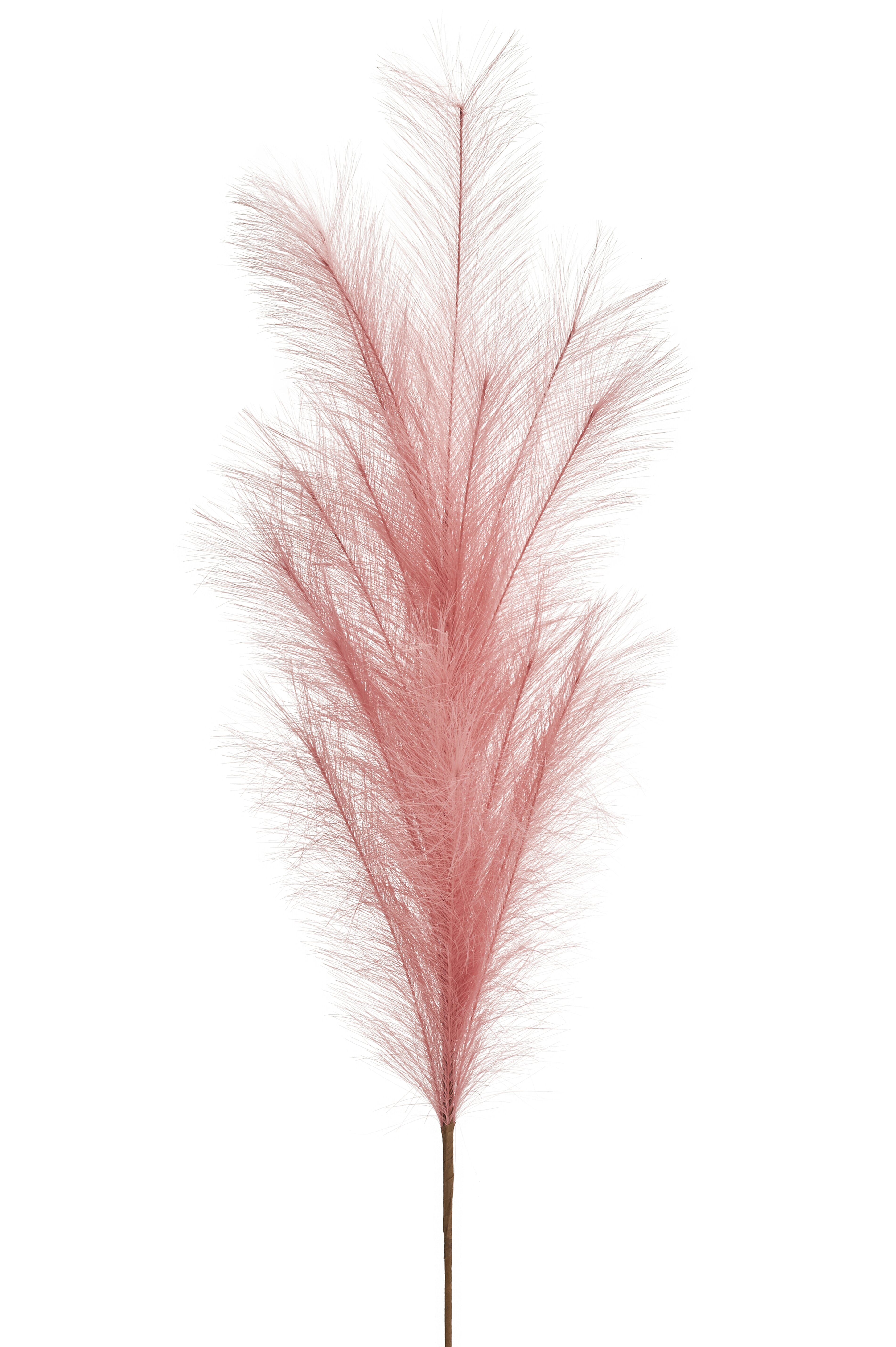 Pampas, Deko-Zweig, L135cm, dusty rose