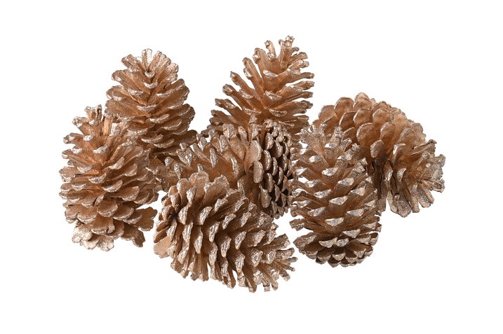 Hey, pinecones, set of  7pcs., ca.10-12cm, champagner