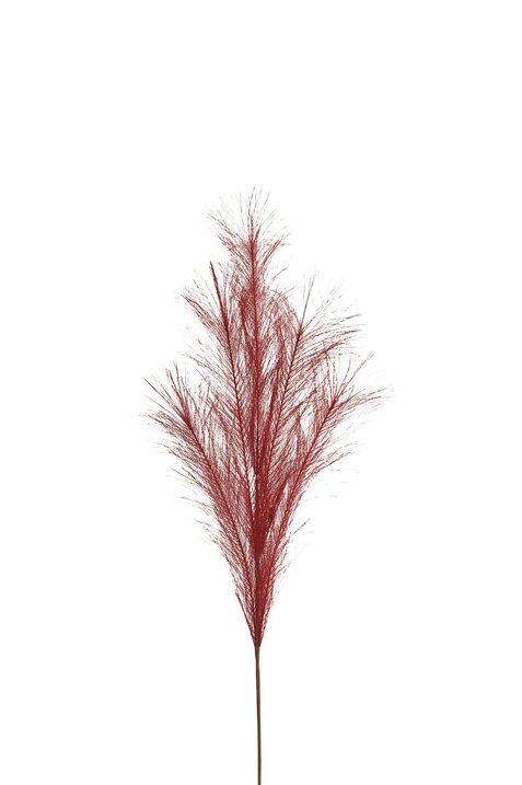 Pampas, Deko-Zweig, L85cm, rot