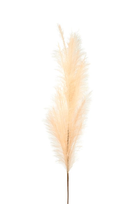 Pampas, deco branch, L135cm, powder