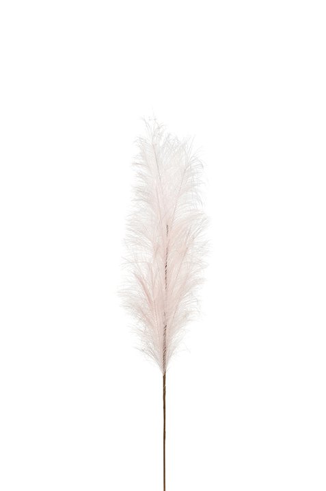 Pampas, Deko-Zweig, L85cm, rosé
