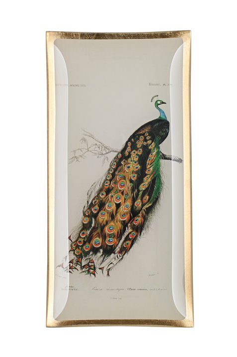 Love Plates, glass plate, L, peacock, white/green