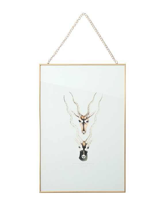 Glasbild, M(27x39cm), Antilope, weiß