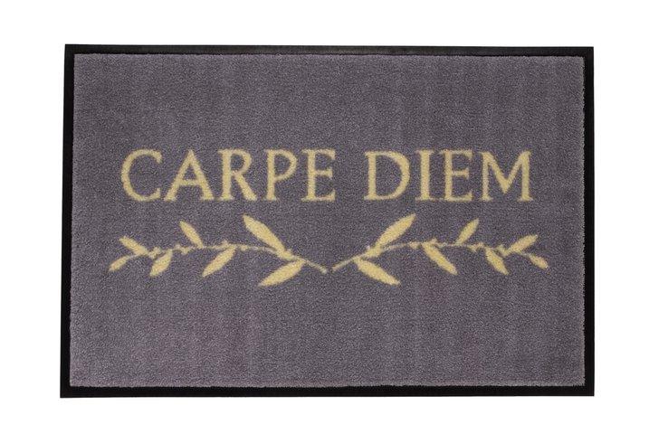 Washable, Carpe Diem, grey