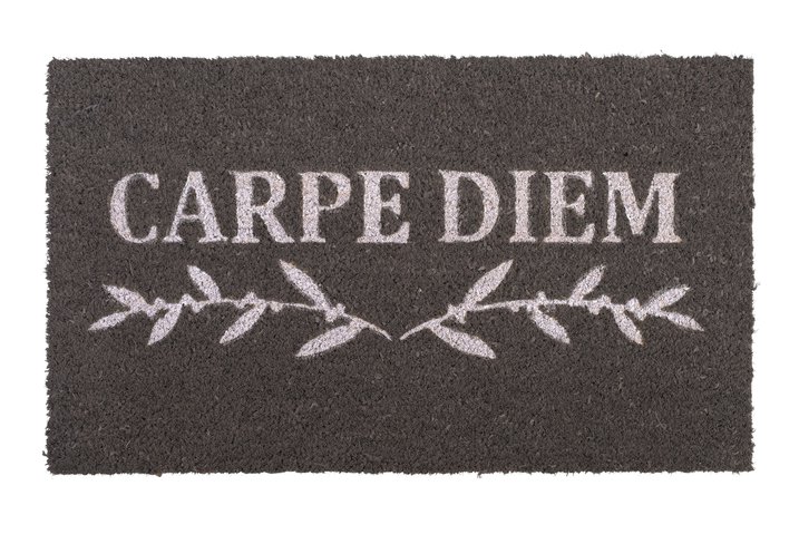 Fußmatte, Carpe Diem, Vinyl, grau