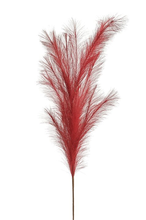 Pampas, deco branch, L135cm, red