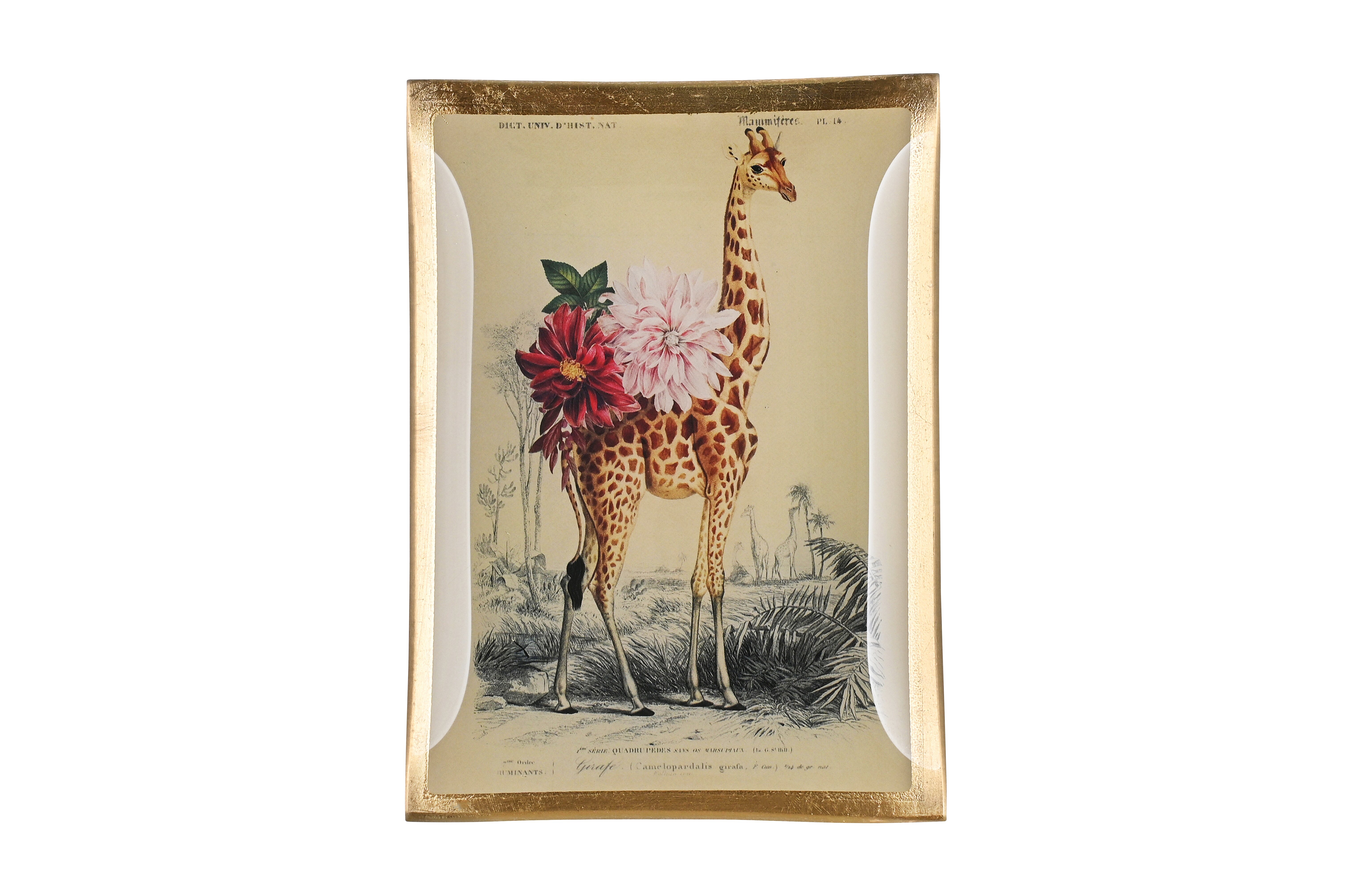 Love Plates, Glasteller M, Giraffe,  weiss/rosa
