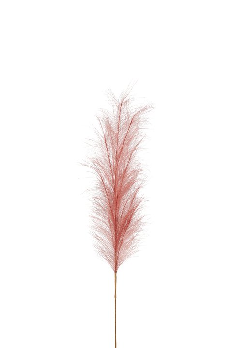 Pampas, deco branch, L85cm, dahlia red