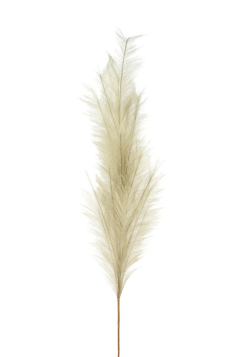 Pampas, Deko-Zweig, L135cm, grau