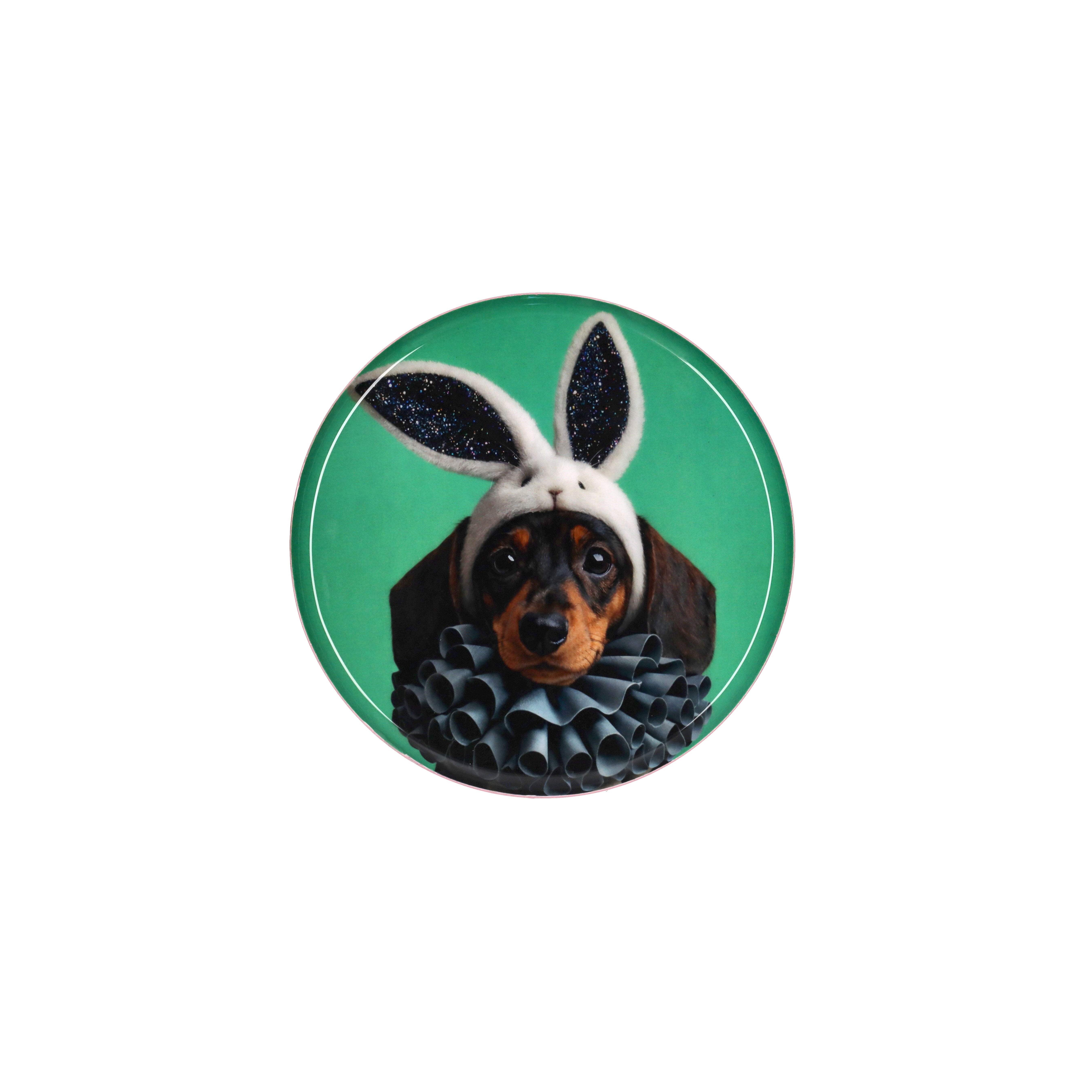 Love Trays, Dekotablett, S,  Motiv: Hund mit Hasenohren,  rund, grün