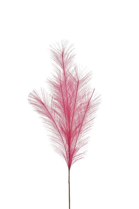 Pampas, deco branch, L85cm, pink