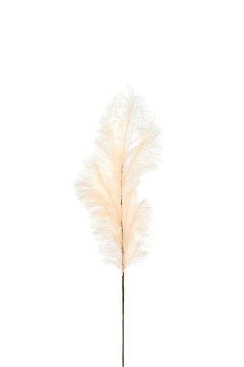 Pampas, deco branch, L85cm, powder