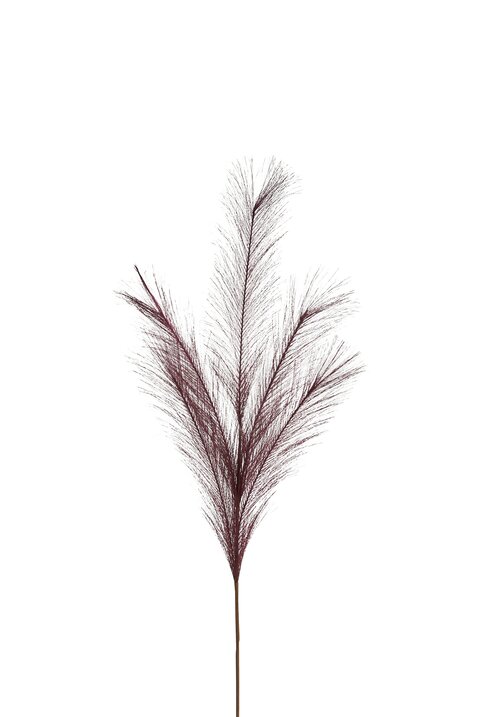 Pampas, deco branch, L85cm, plum