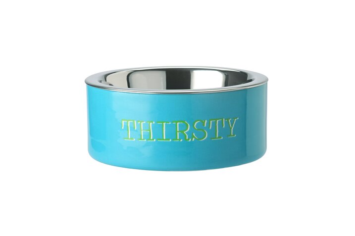 Love Pets, bowl, S, motive: Thirsty, turquoise